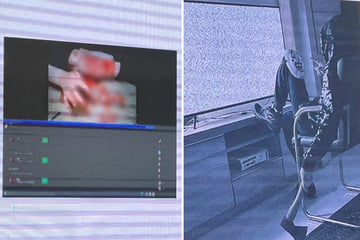 Cyber-Killer "White Tiger" hätte schon vor Jahren gestoppt werden können