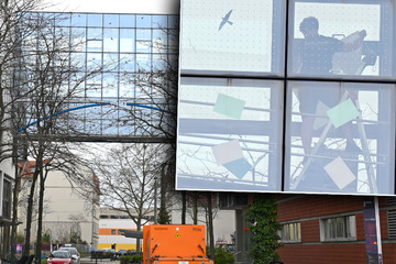 Leipzig: Schutzfolie falsch geklebt: Vogelsterben am Technischen Rathaus geht weiter