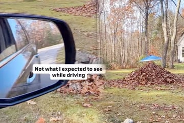 Frau fährt an Laubhaufen vorbei und bemerkt, dass sie beobachtet wird