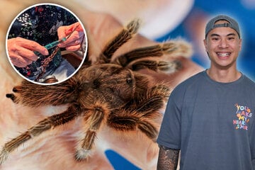 Wohin am Samstag? Bei diesen Events geht etwas in Magdeburg