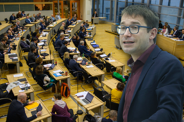 Sebastian Striegel gibt Amt als Parlamentarischer Geschäftsführer Sachsen-Anhalt ab
