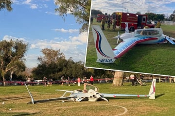 Bruchlandung auf Fußballfeld: Flieger rauscht bei Notmanöver gegen Besucherin