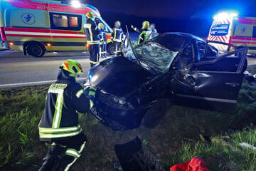 Seat kracht gegen Baum: Vier Verletzte bei heftigem Crash