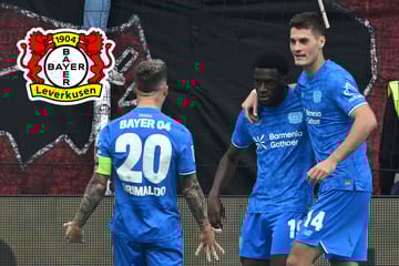 Vier Tore, vier Vorlagen: Bayer 04 von diesem Senkrechtstarter fasziniert