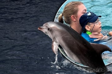 Leipzig: Happy End für kleinen Kämpfer: Henry (7) fliegt zu den Delfinen