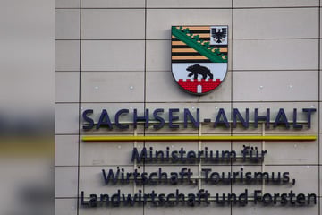 Sachsen-Anhalts Landesportal durch pro-russischen Hackerangriff lahmgelegt