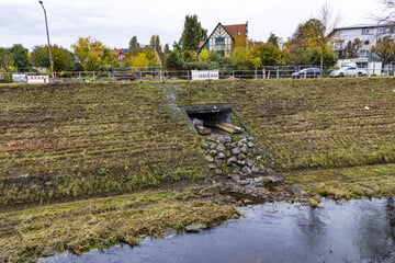 Ein Jahr lang: Diese Brücke in Dresden wird erneuert