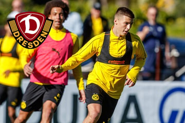 Dynamo Dresden: Wie Sterner und Raschl nächste Saison helfen können