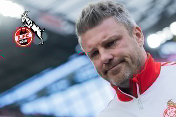 Siegen oder fliegen? Kwasniok-Knall beim 1. FC Köln rückt wohl näher