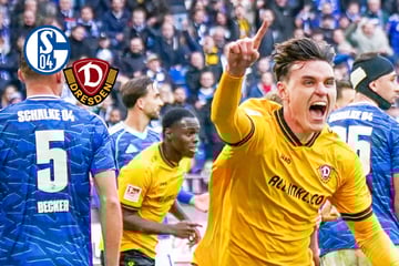 Dynamo-Noten gegen Schalke: Viele gute Leistungen, aber einer sticht hervor