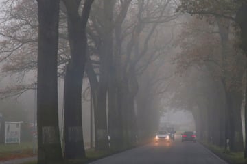 Berlin und Brandenburg von Nebel verdeckt: So trist aber mild ist das Wetter