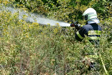 Feuerwehreinsatz in Waldheim: Hang brennt