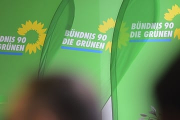 Gefälschte Banner der Grünen in Sachsen-Anhalt aufgetaucht