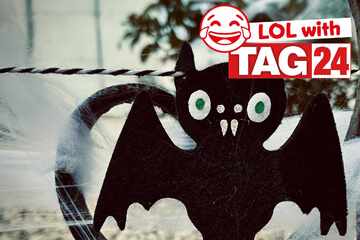 Joke of the Day for October 26, 2025: A batty silly for Spooky Season fun