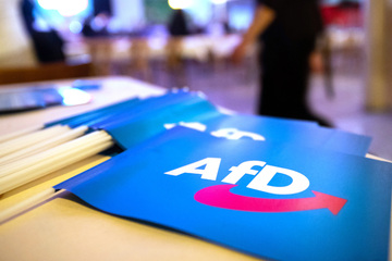 Ehemaliges AfD-Mitglied bekommt Hausverbot beim BND: Mann war parteiintern umstritten