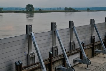 Hochwasser im Liveticker: Krisenstäbe in Brandenburg beraten zur Lage