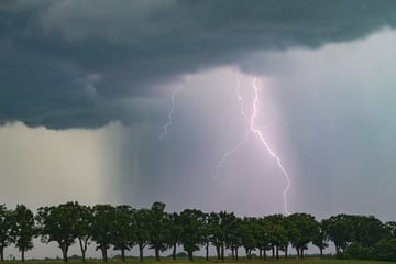 Berlin und Brandenburg brechen 2024 Wetter-Rekord: So warm und zu nass wie nie zuvor