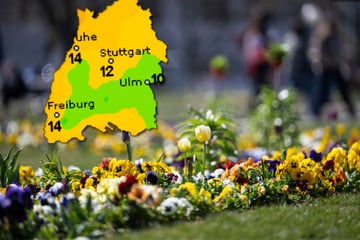 Zwischen Bodenfrost und Frühlingssonne: So wird das Wetter im Ländle