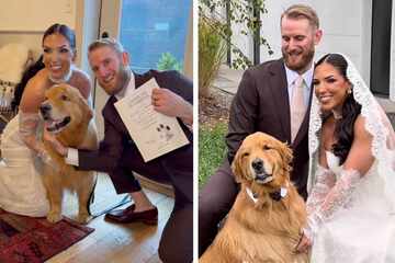 Dog is the "best boy" at his humans' wedding day in beyond adorable viral videos: "HE WAS SO PROUD OF HIMSELF"