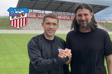 FSV Zwickau begrüßt neuen Offensivspieler