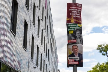 Dresden: Grünes Licht für Verbots-Idee! Sind Plakat-Türme an Laternen schon bald tabu?