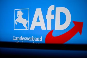Insa-Umfrage: AfD erstmalig bei 30 Prozent - Union fällt auf 18