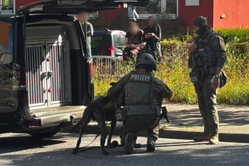 Mit Schusswaffe auf dem Balkon? SEK-Einsatz in Hamburg
