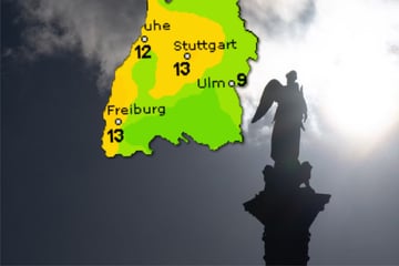 Frühling im Januar? Baden-Württemberg erwartet milde Tage und viel Abwechslung