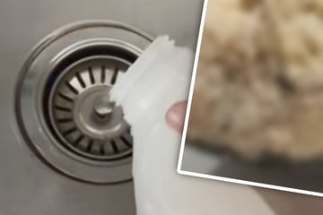 Achtung, Fettberg: Das passiert, wenn ihr dieses Getränk in die Spüle kippt