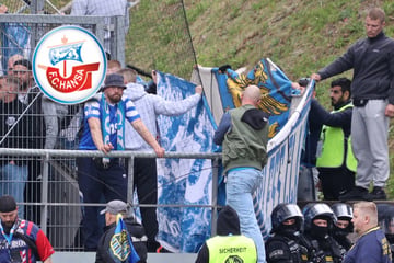 Große Trauer bei Hansa Rostock: Fan Moritz stirbt nach Sturz von Tribüne