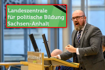 Landeszentrale für politische Bildung "verdummt und verblödet"? AfD-Vorschlag scheitert