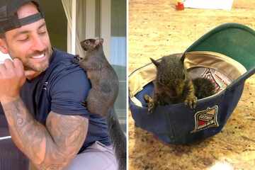 Peanut the squirrel's owner says he was treated like "a terrorist" during 5-hour raid on animal rescue