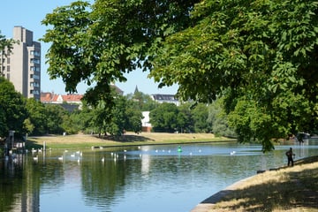 Der Sommer gibt wieder Vollgas: Berlin und Brandenburg schwitzen bei bis zu 32 Grad