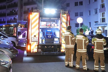 Dresden: Brand in Dresden-Gorbitz: In der Wohnung machen Feuerwehrleute eindeutigen Fund