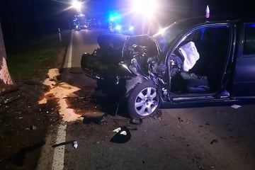 Auto kracht gegen Baum: Fahrer (†61) stirbt bei Verkehrsunfall