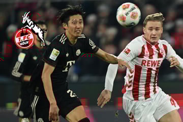 Bis 2030! 1. FC Köln hat offenbar Vertrag von Top-Talent verlängert