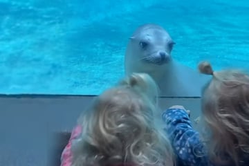 Robbe sieht zum ersten Mal Zwillinge: Ihre Reaktion ist unbezahlbar