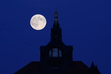 Dresden: Faszinierend: Supermond über Dresden aufgegangen