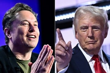 Elon Musk: What are Elon Musk's "drastic" plans for a Donald Trump government?