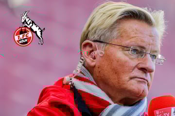 Stadionsprecher-Eklat: 1. FC Köln kassiert saftige Strafe vom DFB
