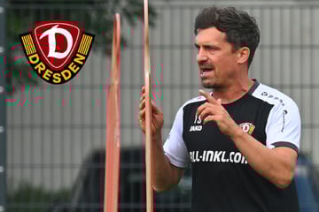 Dynamo-Dresden-Blog: Wann findet das nächste öffentliche SGD-Training statt?