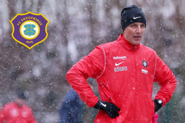 Veilchen legen wieder los: Diese drei Fragen stellen sich im Januar