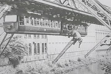 Heute vor 76 Jahren: Der legendäre Schwebebahn-Unfall mit Elefant Tuffi