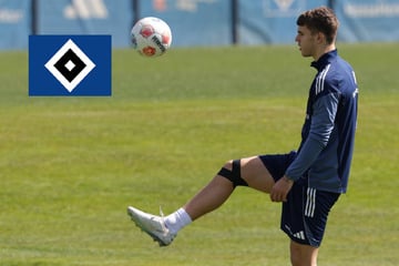 HSV-Blog: Vuskovic zurück auf dem Rasen, aber reicht es auch für Frankfurt?