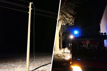 Baum reißt Leitung um: Betroffene Häuser stundenlang ohne Strom