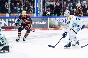 Dresdner Eislöwen: In Mannheim braucht’s wohl schon ein Wunder