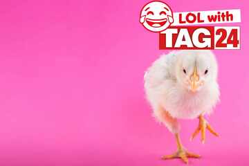 Joke of the Night for February 4, 2026: A cheeky funny