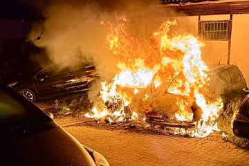 Brände in Wohnhaus und Betrieb: Mehrere Verletzte und zerstörte Autos