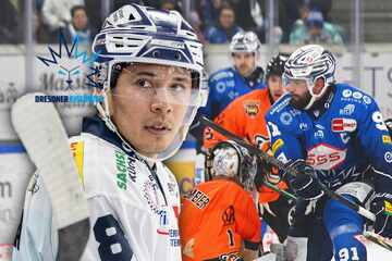 Wieder nur Ortega top, wieder kein Sieg der Dresdner Eislöwen!