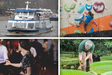 Diese Events warten am Wochenende in Magdeburg auf Euch